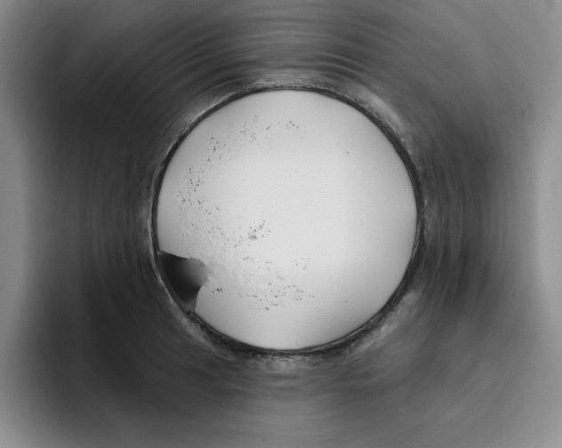 X0000096171041200802151431