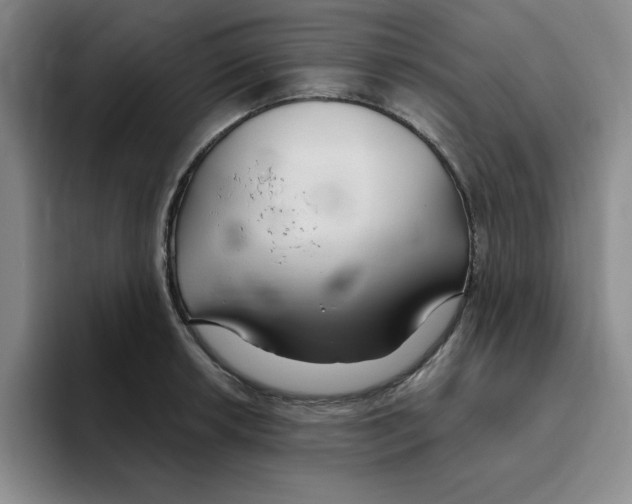X0000096171042200802151431