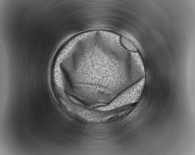 X0000096171043200802151431
