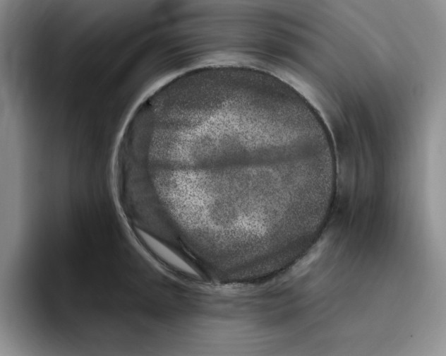 X0000096171045200802151431