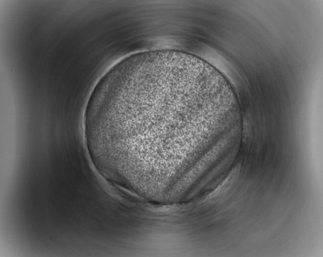 X0000096171047200802151431