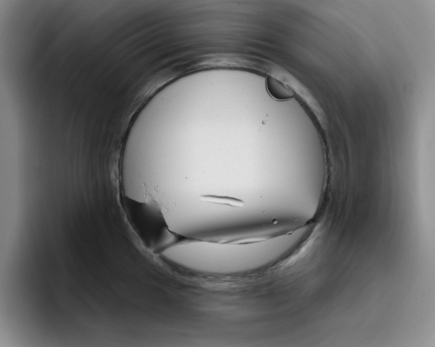 X0000096171049200802151431