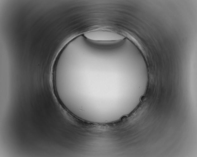 X0000096171050200802151431