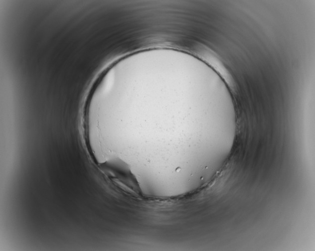 X0000096171051200802151431