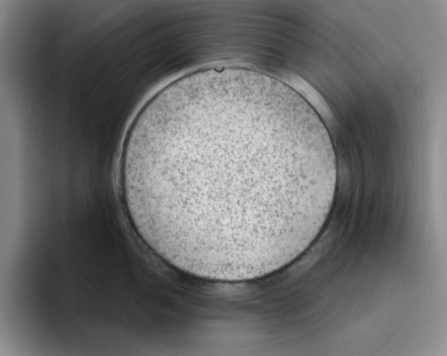 X0000096171052200802151431