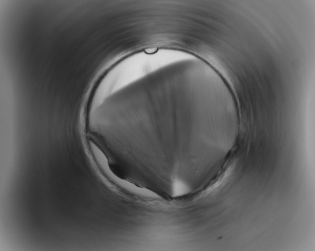 X0000096171053200802151431