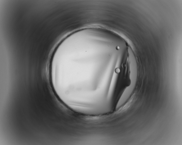 X0000096171054200802151431