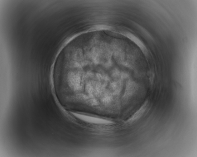 X0000096171055200802151431