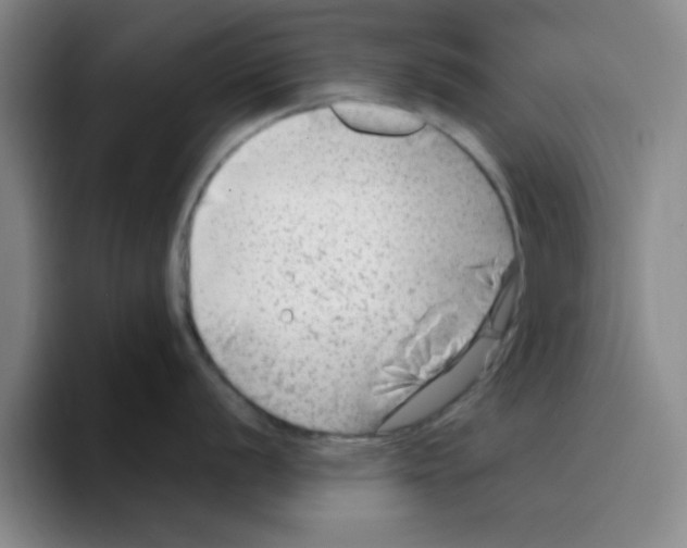 X0000096171056200802151431