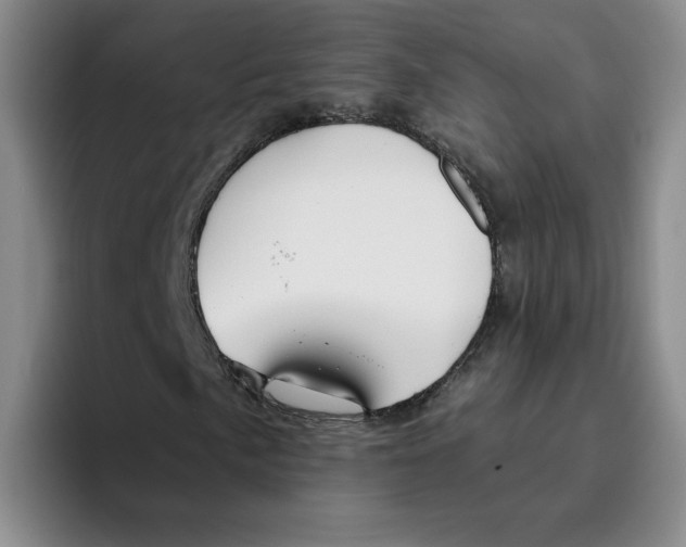 X0000096171057200802151430