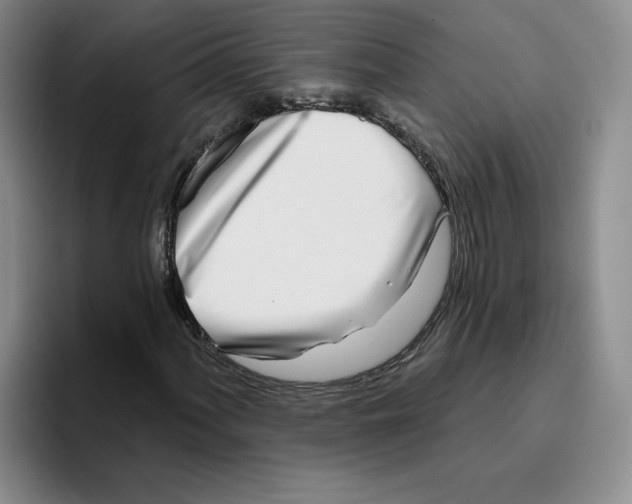X0000096171060200802151430