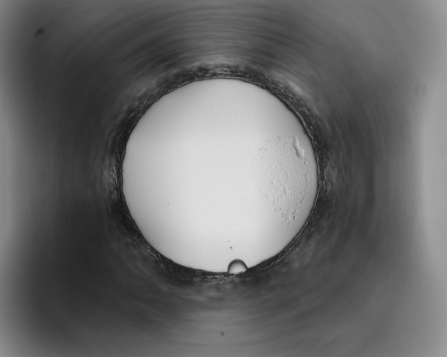 X0000096171062200802151430