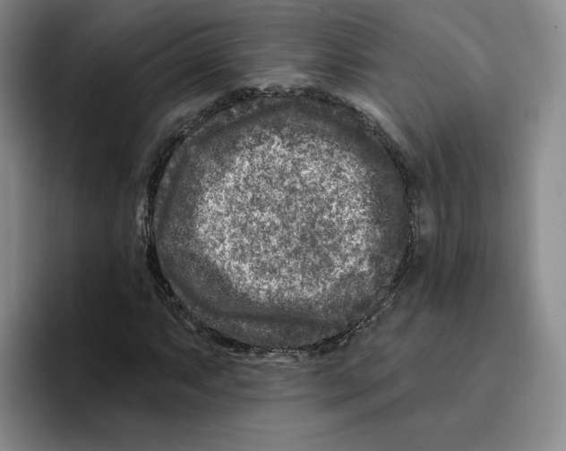 X0000096171063200802151430