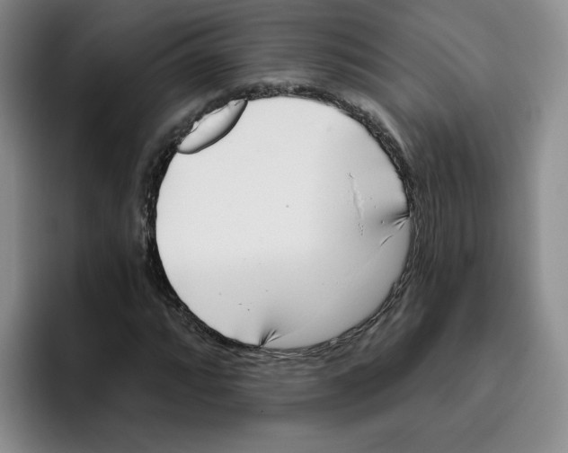 X0000096171064200802151430