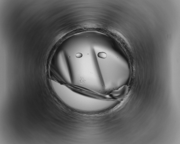 X0000096171065200802151430