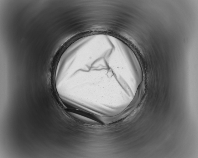 X0000096171066200802151430
