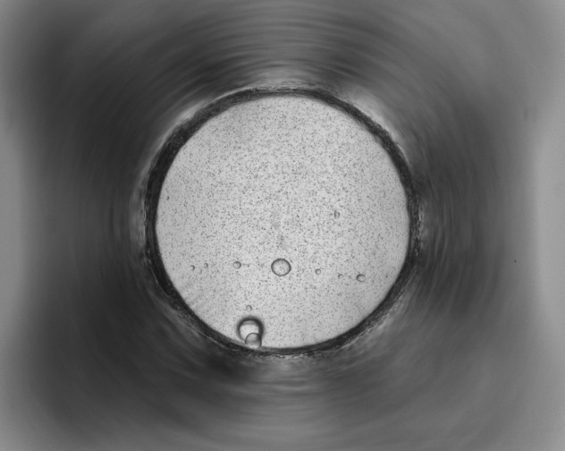 X0000096171067200802151430