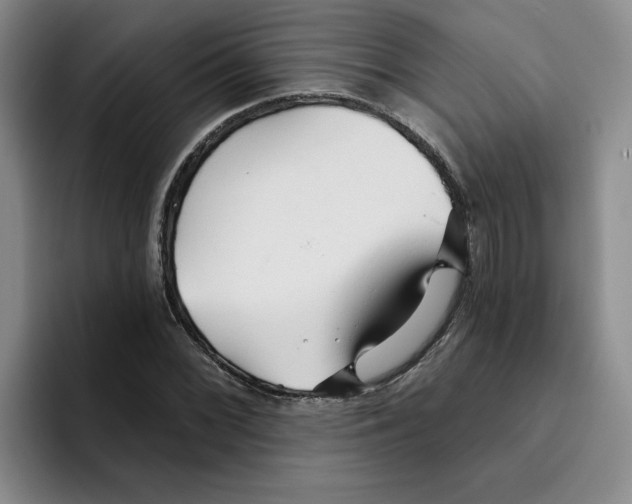 X0000096171068200802151430