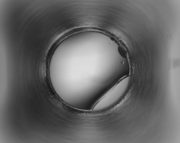 X0000096171069200802151430