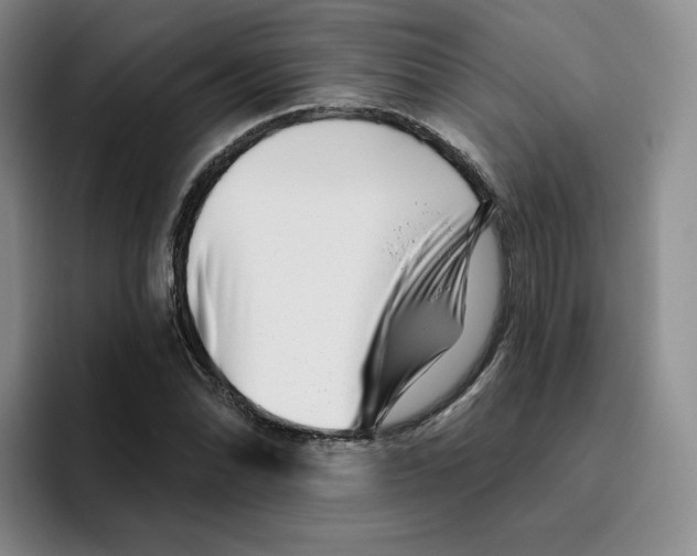 X0000096171070200802151430