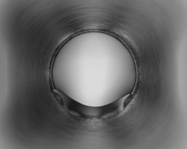 X0000096171073200802151430