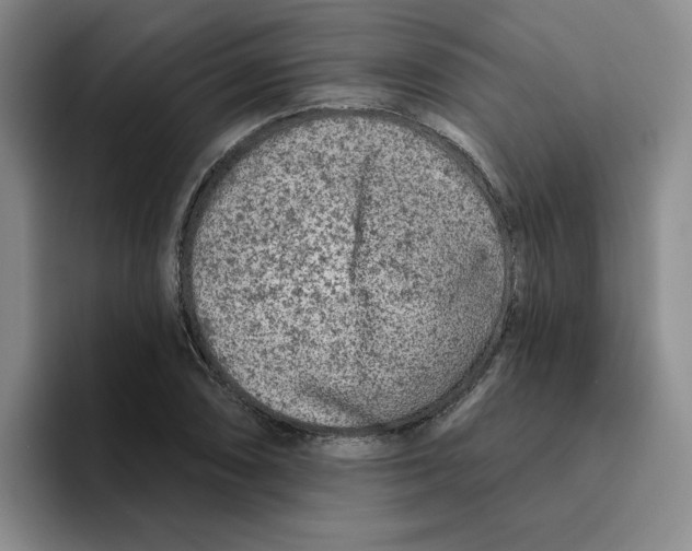 X0000096171074200802151430