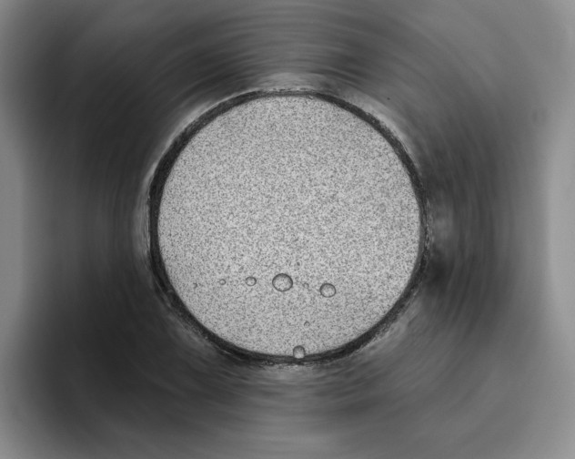 X0000096171075200802151430