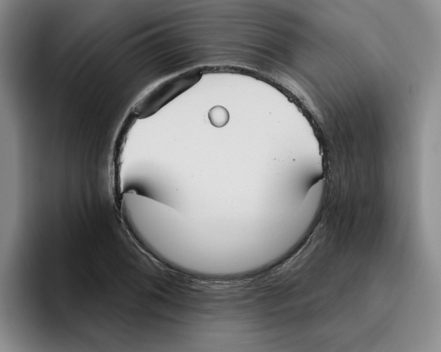 X0000096171076200802151430
