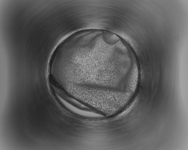 X0000096171077200802151430