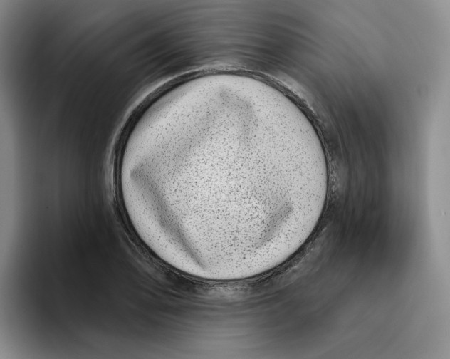 X0000096171078200802151430