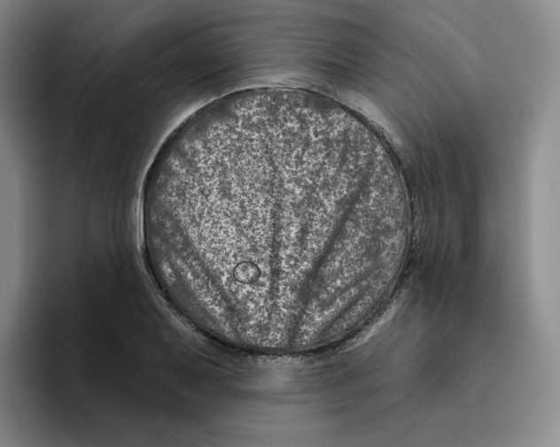 X0000096171079200802151430