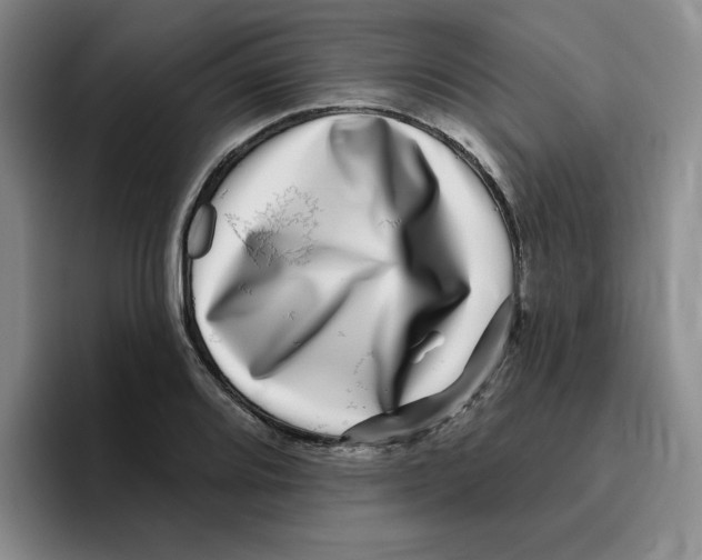 X0000096171080200802151430