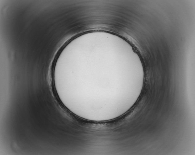 X0000096171082200802151430