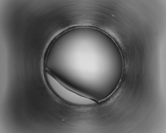 X0000096171085200802151430