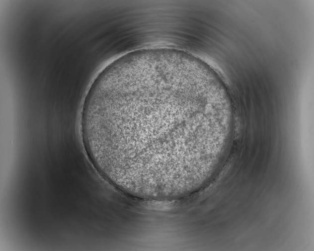 X0000096171086200802151430