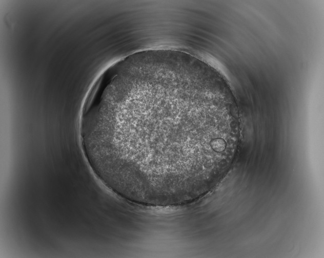 X0000096171087200802151430