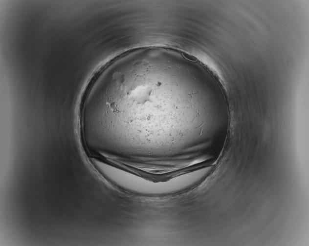 X0000096171088200802151430
