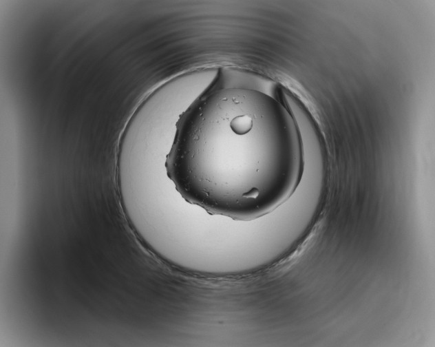 X0000096171089200802151430
