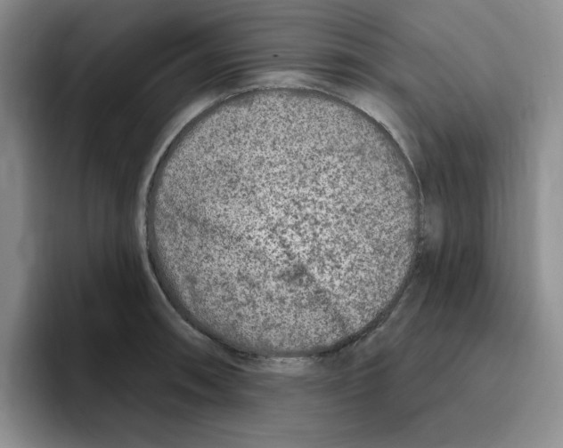 X0000096171090200802151430