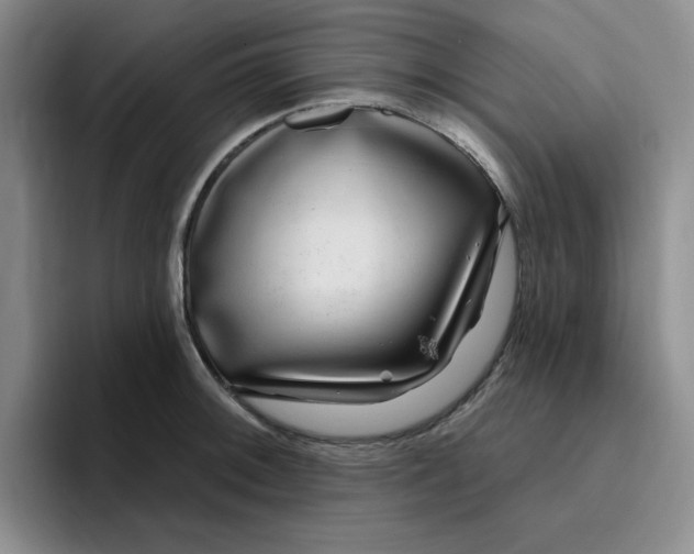 X0000096171092200802151430
