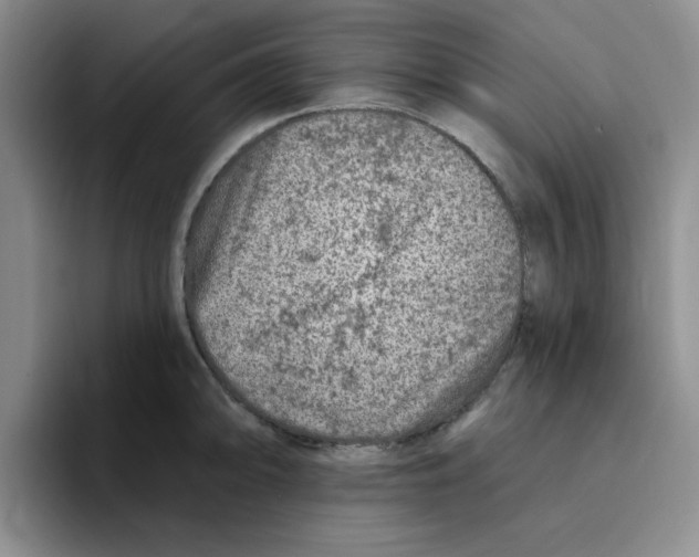 X0000096171094200802151430