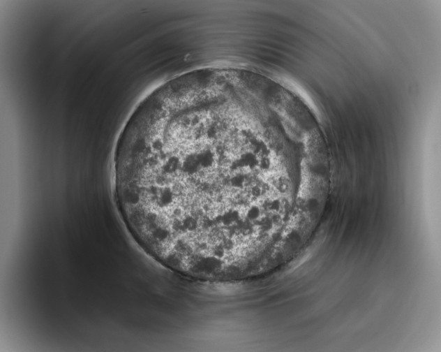 X0000096171095200802151430