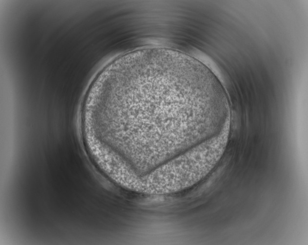 X0000096171098200802151430