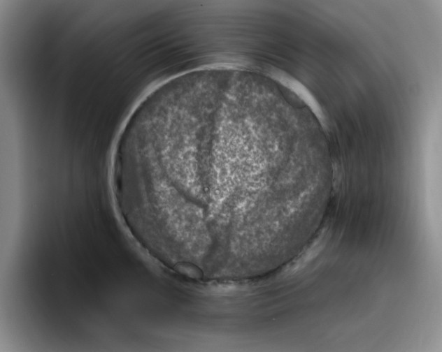 X0000096171099200802151430