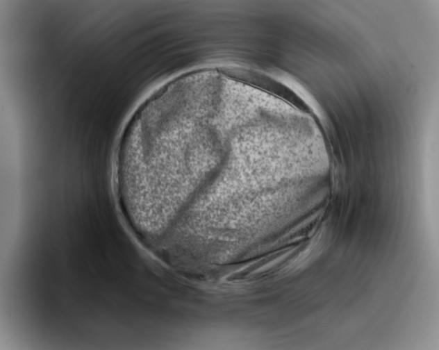X0000096171101200802151430