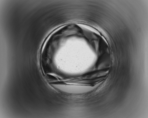 X0000096171102200802151430