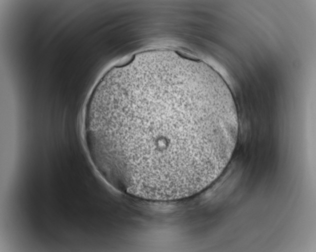 X0000096171103200802151430