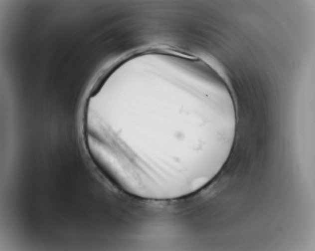X0000096171104200802151430