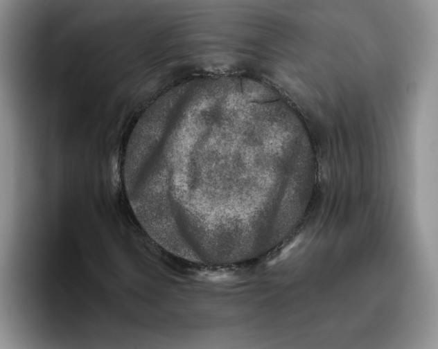 X0000096171106200802151429