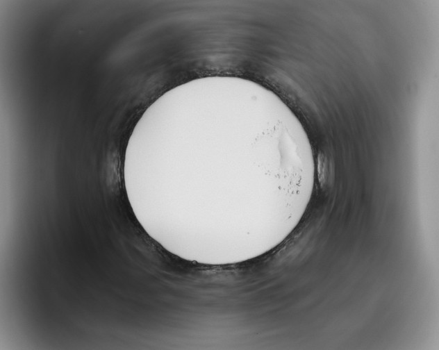 X0000096171107200802151429